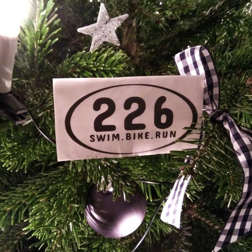 Aufkleber 226-Swim.Bike.Run